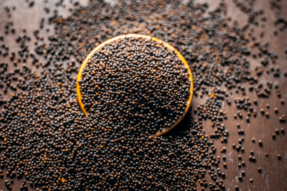 sementes de mostarda preta